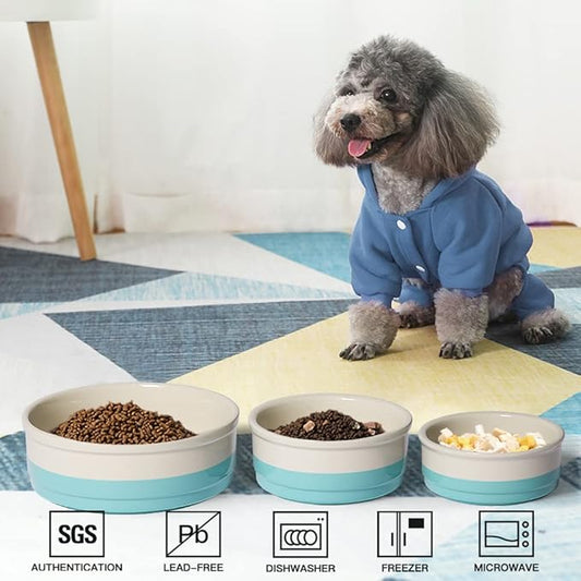 Sweejar Ceramic Dog Bowls, Dog Food Dish for Small Dogs and Cat, Heavy Duty Porcelain Pet Bowl for Canned Food and Water 17 Fl Oz (Turquoise)