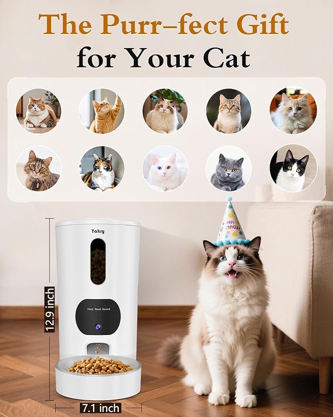 Yakry Automatic Cat Feeder with Camera - 5G WiFi Easy Setup App Control Cat Dry Food Dispenser with Stainless Steel Bowl, 4L/17 Cups, HD 1080P Video with Night Vision for Small Pets Indoor