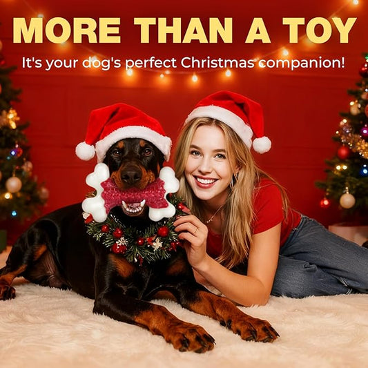 10-Pack Tough Dog Toys, Toys for Aggressive Chewers Large Breed, Chew Dogs, Bone Toy Nylon Dogs Almost Indestructible