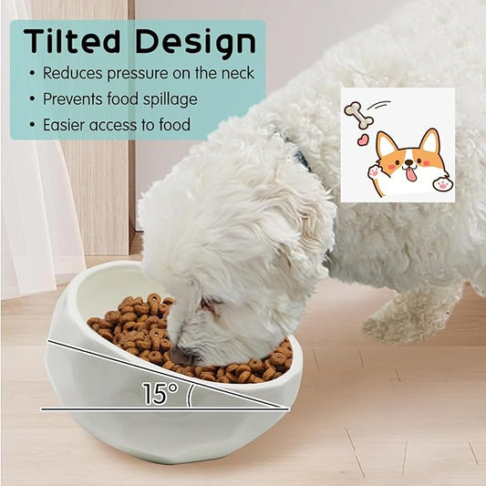 kathson Slanted Ceramic Dog Bowl Tilted 15° Cat Food Water Bowls Dish Animal Pet Comfort Feeding Bowls Heavy Weighted Feeder for Wet or Dry Food (White)