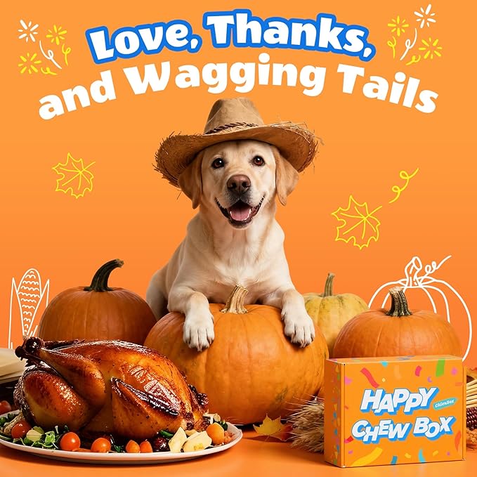 Dog Toys for Aggressive Chewers: Gift Box with 3 Pack Dog Chew Toys, Indestructible Tough Dog Toys to Keep Them Busy, Dog Teething Bones for Small Medium Large Breeds 25-90 lbs, Bacon Flavor