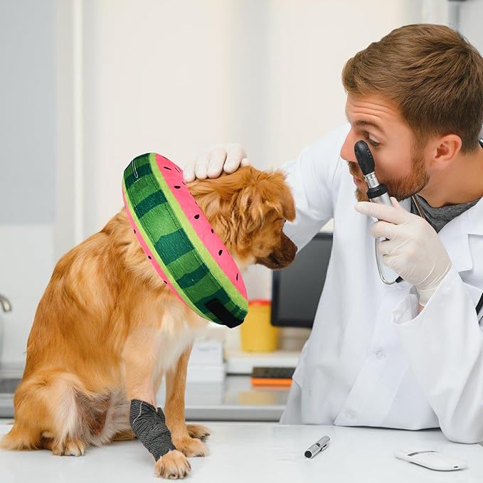 Katoggy Inflatable Dog Cone Collar for After Surgery, Doggie Neck Blow up Donut Recovery ECollar, Soft Adjustable Dog Cone for Small Medium Large Dogs and Cats