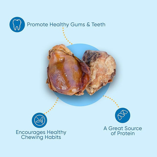 123 Treats - Dog Bone Knee Caps - 100% Natural & Long Lasting Beef Chews Beef Chew Treats for Pets - Ideal for Small to Large Dogs (30 Count - Made in USA)