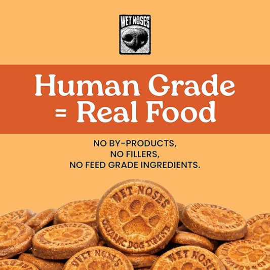 Wet Noses Organic Crunchy Dog Treats – All-Natural, Human-Grade, Non-GMO, Healthy Training & Delicious Snacks for Dogs, for All Dog Sizes & Breeds – Pumpkin & Quinoa, 14oz (Single Pack)