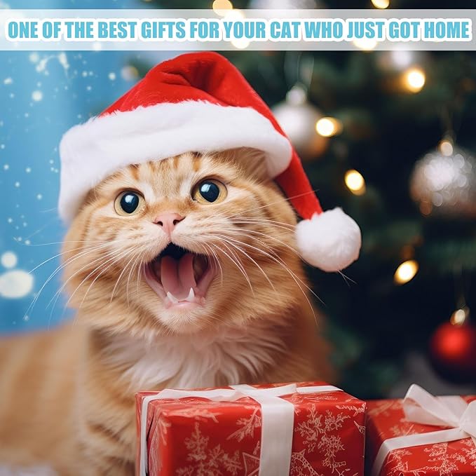 40 Pcs Kitten Starter Kit for Indoor Cats Include Cat Litter Box Toys, Hammock, Bed Scratch Pad, Climbing Post, Feed Bowls, Mat, Collars, Nail File and More for Kitten Supplies Welcome Gift(Blue)