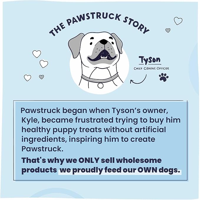 Pawstruck Natural 12" Braided Bully Sticks for Dogs – Tough, Long-Lasting, Rawhide-Free, Low-Odor, Single Ingredient Chew Treat for Aggressive Chewers – 5 Count – Packaging May Vary