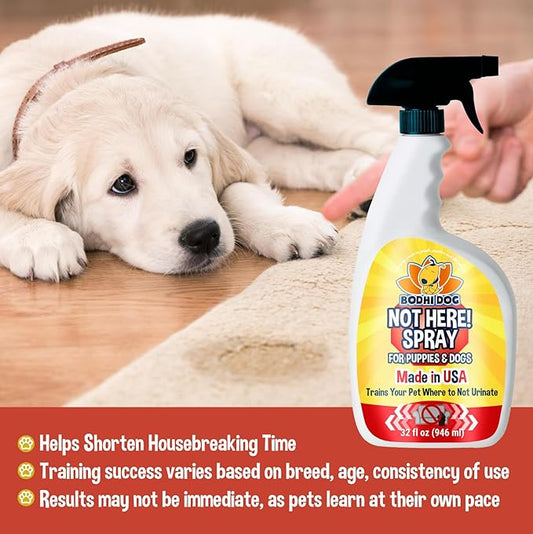 Bodhi Dog Not Here! Spray - Trains Your Pet Where Not to Pee Indoors or Outdoors - Anti Marking Deterrent for Furniture, Carpet & Floor - Training Corrector for Puppies & Dogs - Made in USA (32 Fl Oz)