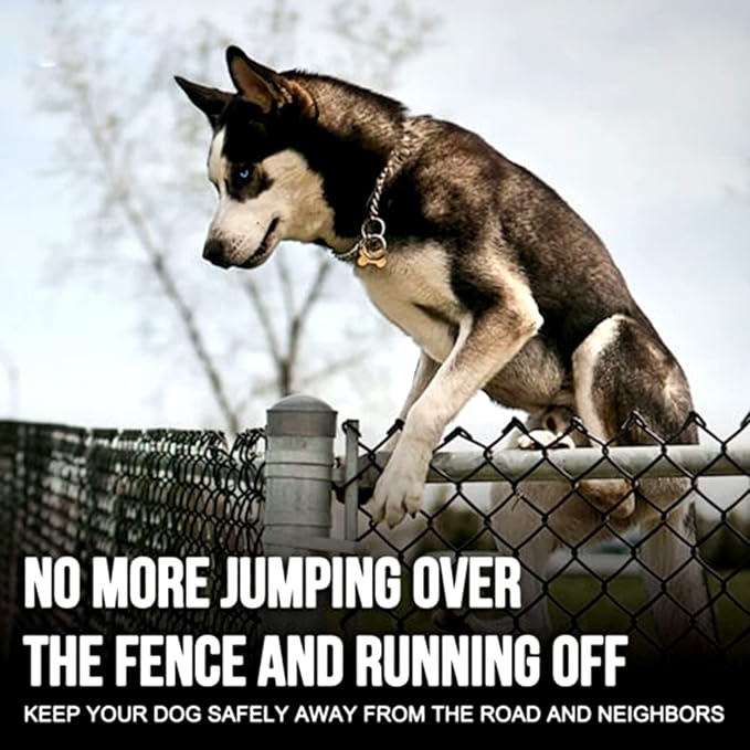 Wireless Electronic Pet Dog Fence System and Dog Training Collar 2-in-1,Boundary Container for All Dogs,with Shock/Tone Correction,Waterproof Reflective Stripe Collar,Harmless,for 1 2 3 dogs,for2dogs