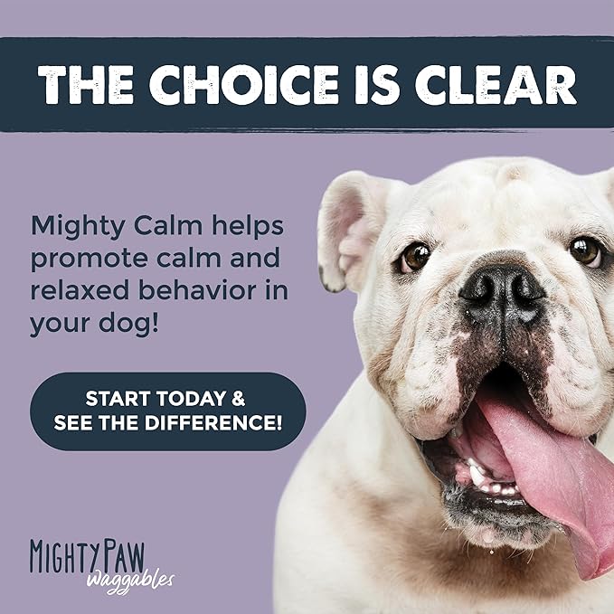 Mighty Paw Calming Chews for Dogs with Melatonin 2 Pack - Sleep Aid Waggables Calm (Made in USA) - Puppy & Large Dog Treats - Composure Dog Calming Chews for Stress & Relaxation, 240 Count
