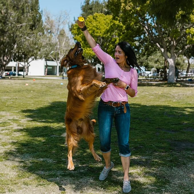 16Pack Dog Balls, EVA Foam Dog Toy Ball for Aggressive Chewers, Durable, High Elasticity, Interactive Ball for Training, Floats in Water(8Pcs3.54inch/8Pcs2.76inch)