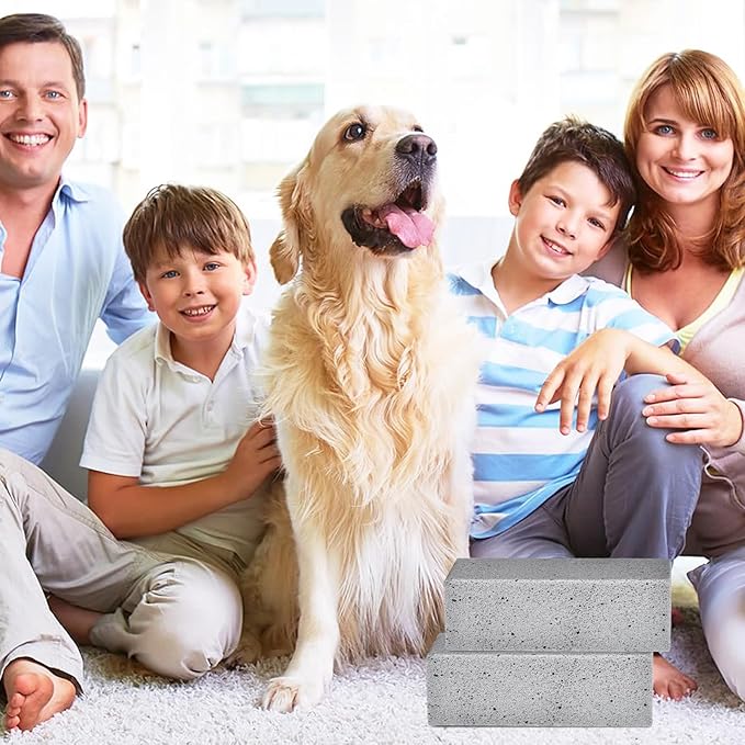 10Pcs Pet Pet Hair Removal Stone, 6 Inch Pet Fur Remover Pumice Stone for Dog Cat Hair Removal,Cleaning Pet Hair Stone Dog Fur Removal Tool for Car Bedding Carpet Furniture Clean (6x2x1.6 IN)