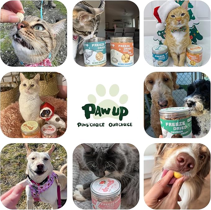 PAWUP Freeze Dried Green Lipped Mussels Dog Treats – Raw Single Ingredient Snacks for Joint & Hip Health, Rich in Omega-3, Grain Free, 3.5 oz