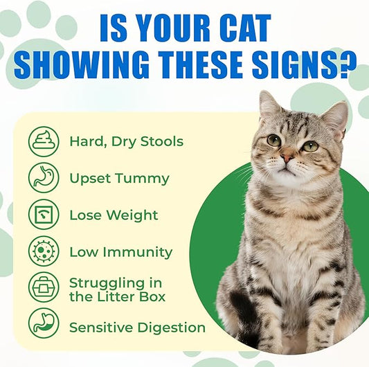 Just Try 300 Bites Cat Probiotic Bites Probiotics for Cats Chicken Flavor Healthy Cat Treats Digestive Support 6.35 oz