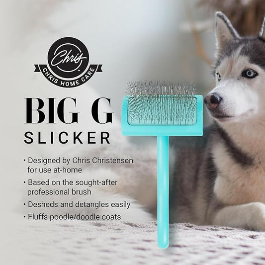 Chris Christensen Big G Dog Slicker Brush for Dogs (Goldendoodles, Labradoodles, Poodles), Groom Like a Professional, Fluff Detangle Style, Saves Time Energy, Teal, Medium