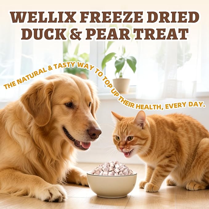 Wellix Freeze Dried Duck&Pear Treats for Cats&Small Dogs - Natural Freeze Dried Cat Treats for Gut,Digestion Healthy - High-Protein Food Topper for Kittens Training Snacks 4.93oz