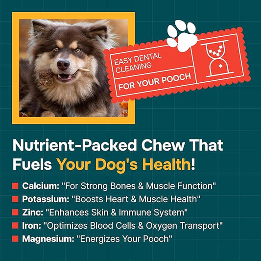 100% Natural - Elk Antlers for Dogs (3 Pack) - Chewers - Naturally Shed in USA - Dog Antler Chews for Medium Breeds - Natural, Long-Lasting Treats for Aggressive Chewers - No Odor & No Mess - Medium