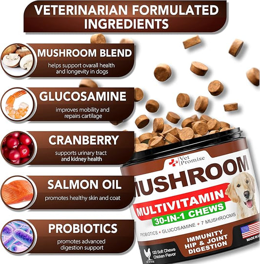 (2 Pack) Turkey Tail Mushroom for Dogs - 340 Chews - Mushroom Supplement for Dogs - Lions Mane - Reishi - Immunity Support Multivitamin Vitamins - Joint Health - Energy - Gut - Skin - Made in USA