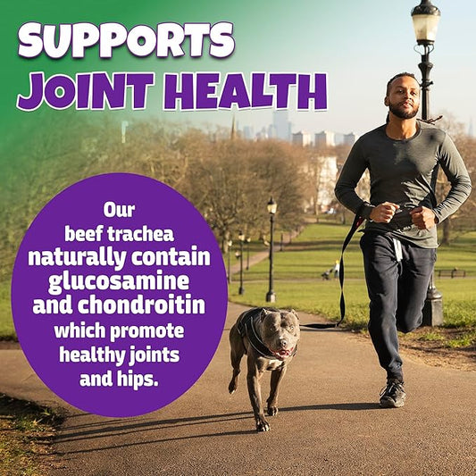 100% Beef Trachea for Dogs with Natural Glucosamine, Large Trachea Dog Chews for Joint Health with Chondroitin, Great and Breads, 10-Pack