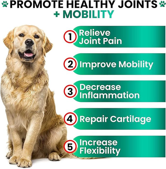 (2 Pack) Hemp Hip and Joint Supplement for Dogs - Glucosamine for Dogs - 340 Joint Pain Relief Treats - Chondroitin, MSM, Hemp Oil - Advanced Health Supplement - Mobility Support Chews - Made in USA