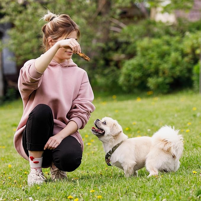 Wildfang® Olive Wood Chewing Sticks for Dogs, Small - Tough Chew Toys for Aggressive Chewers, Puppy Chew Toys for Teething, Training for Chewing Muscles, Olive Wood Stick for Dog (Under 33lbs), 3pack