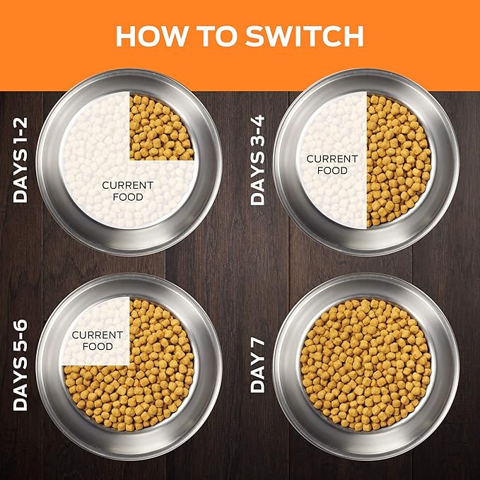 Pro Plan Veterinary Diets Purina OM Overweight Management Canine Formula Dry Dog Food - 6 lb. Bag