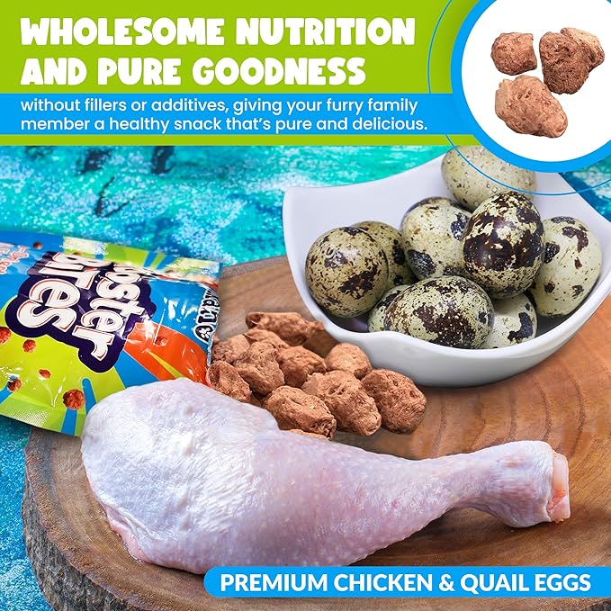 Rooster Bites Chicken Quail Egg Dog & Cat Treats – Only 2 Ingredient Freeze Dried Training Treats - High Protein, All Natural, Made in USA - Picky Eater Approved