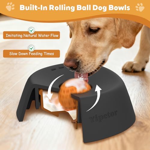 Yipetor Slow Feeder Dog Bowls for Liquid Treat, Anti-Slip【Entertained Ball-in】 Bone Broth Dog Lick Bowl, 3/4 Cup Yogurt Pup Lick Toy for Large Medium Small Breeds Dietary Supplement/Post-op Nutrition