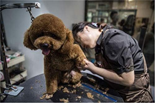 CLCK Pet Dog Grooming Loops - Nylon Restraint Noose Adjustable Fixed Dog Cat Safety Rope for Pet Grooming Table Bathtub Dog Bathing Supplies - 22 inches (6Pack)