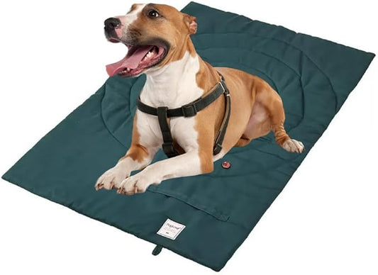 Dog Travel Mat | Camping Bed for Dogs | 37.4"x25.6" Waterproof Outdoor Dog Mat | Portable Place Mat for Dogs with Handle | Machine Washable | Easy Clean for Outdoor Adventures (Green)