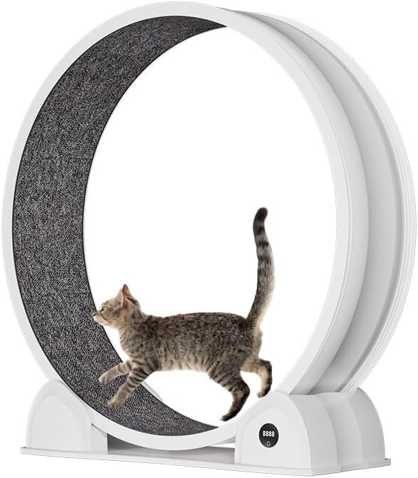 Cat Exercise Wheel for Indoor Cats, 45'' ABS Cat Wheel Exerciser Quiet Cats Treadmill with Pedometer, Small Animal Running Wheels for Weight Loss and Health White