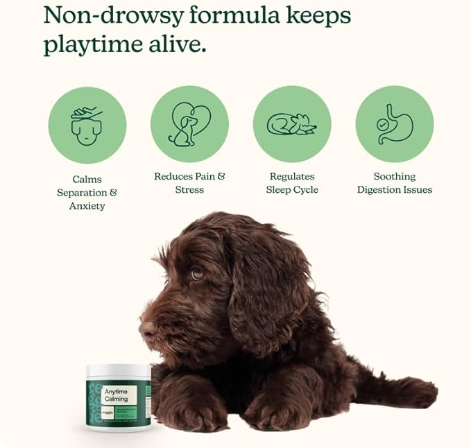 Reggie Anytime Calming Chews for Dogs | Natural Anxiety Relief with L-Theanine & Magnolia Barks | Calming Dog Treats for Separation Anxiety, Thunderstorms, Travel & Stress | 60 Soft Chews