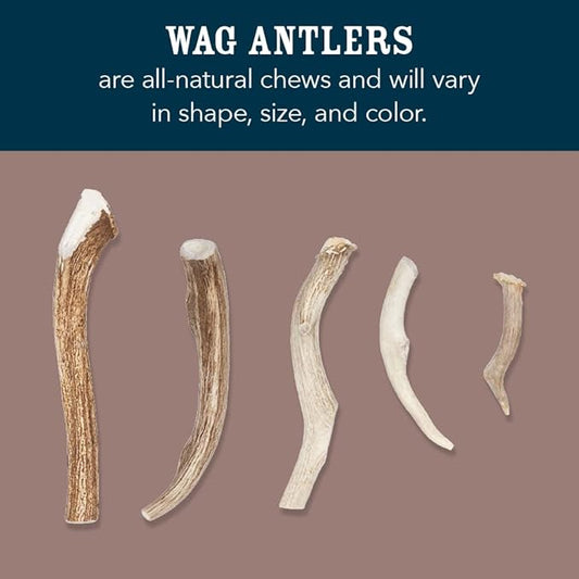 Amazon Brand - Wag Split Elk Antler, Naturally Shed, Long Lasting for Aggressive Chewers, Medium (Best for Dogs 15-30 lbs)