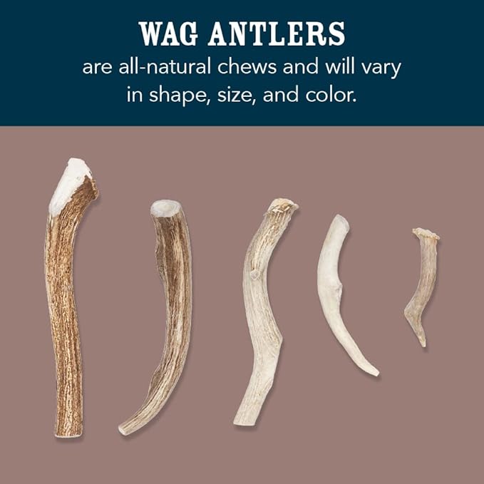 Amazon Brand - Wag Split Elk Antler, Naturally Shed, Long Lasting for Aggressive Chewers, X-Large (Best for Dogs over 45 lbs)