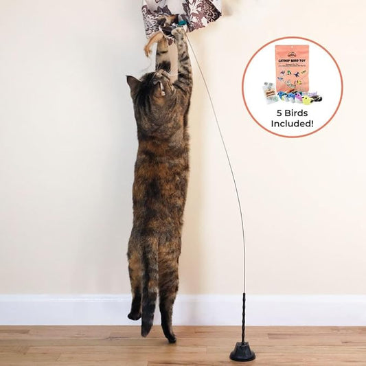 Whiskertons Interactive Bird Simulation Cat Toy Set, Interactive Cat Toys for Indoor Cats, Cat Feather Toy, Self-Holding Suction Base, 5 Catnip Birds, Feathers & Bells (5 Replacement Catnip Birds)