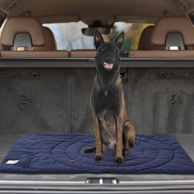 Dog Travel Mat | Camping Bed for Dogs | 37.4"x25.6" Waterproof Outdoor Dog Mat | Portable Place Mat for Dogs with Handle | Machine Washable | Easy Clean for Outdoor Adventures (Blue)
