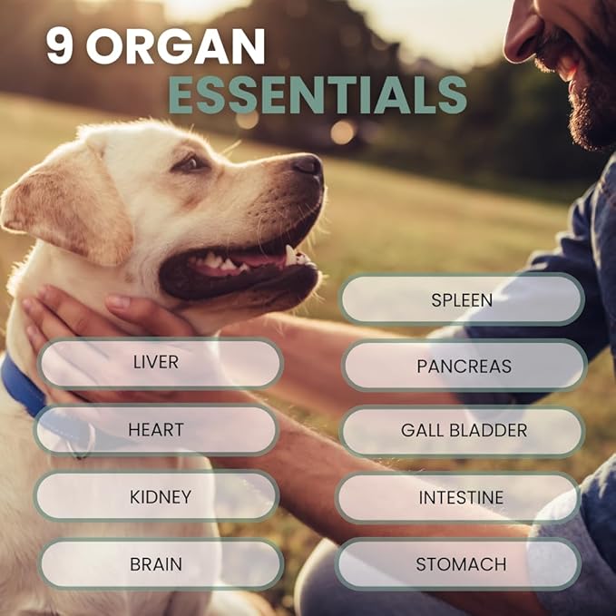 K9 Essentials: Organ Supplement for Dogs (Puppy Essentials, Dog Accessories, Pets, Dog Stuff, Puppy Supplies, Hip and Joint Supplement, Multivitamin, Collagen, Probiotics for Dogs, Itch Relief) – 90g