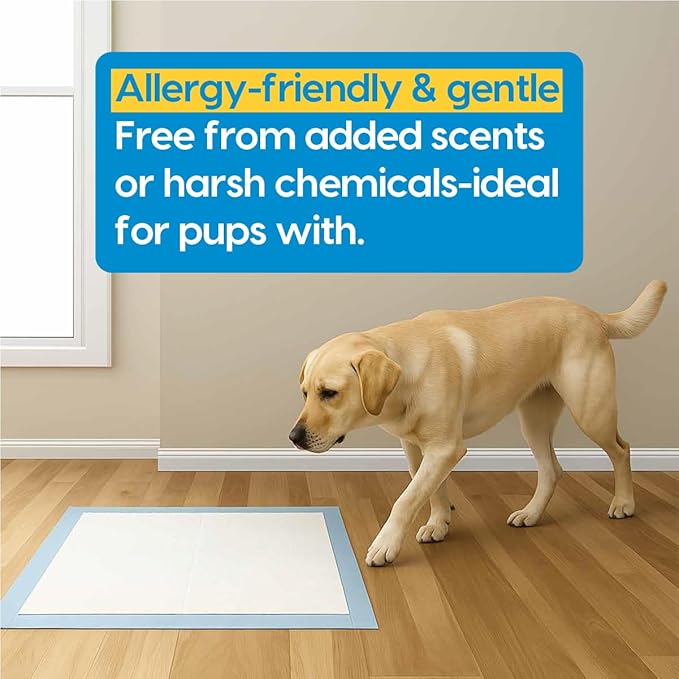 Animal Planet PETS Puppy Pads - Large 22"x22" – 100 Count | Pee Pads for dogs - Leak-Proof and Fast-Absorbing Training Pads - puppy essentials - wee wee pads for Dogs