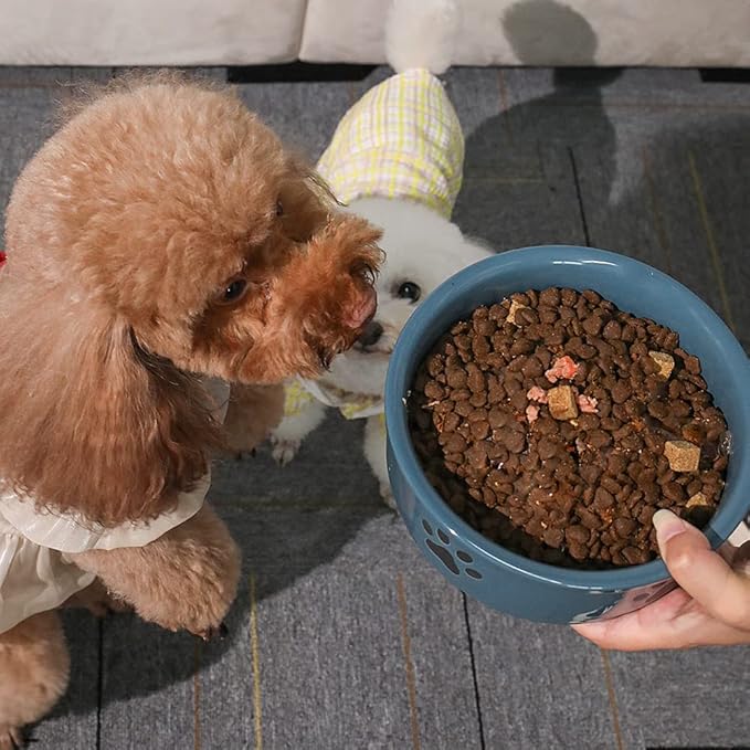 Sweejar Ceramic Dog Bowls with Paw Pattern, Dog Food Dish for Large Dogs, Porcelain Pet Bowl for Water 70 Fl Oz (Fog Blue)