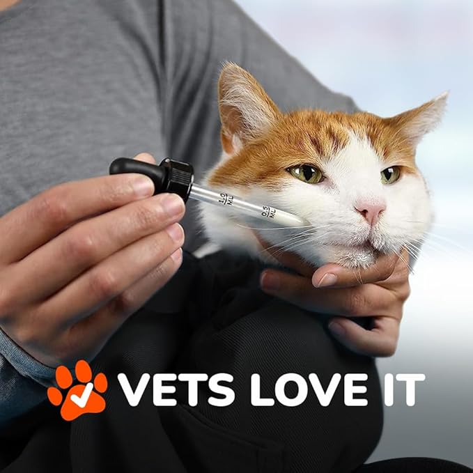 Cat-in-the-Bag Cozy Comfort Carrier - Large Charcoal Cat Carrier Soft and Pet Carrier for Nail Clipping, Vet Visits, Medication Administration, Dental Care, and Traveling