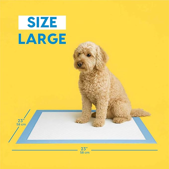 Animal Planet PETS Puppy Pads - Large 22"x22" – 30 Count | Pee Pads for dogs - Leak-Proof and Fast-Absorbing Training Pads - puppy essentials - wee wee pads for Dogs