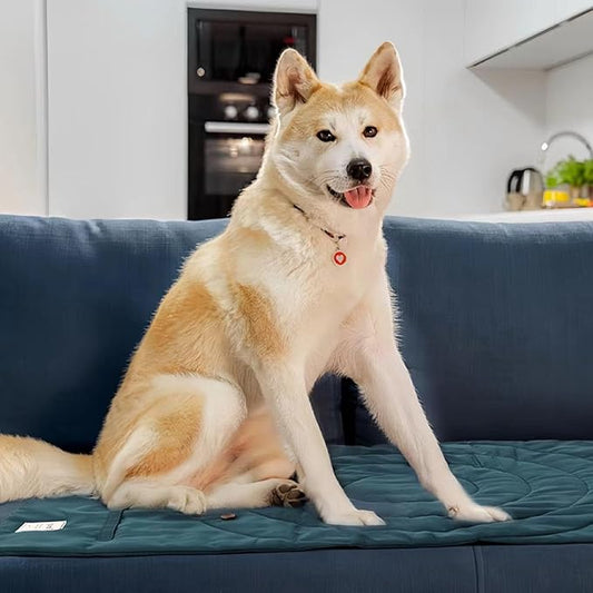 Dog Travel Mat | Camping Bed for Dogs | 37.4"x25.6" Waterproof Outdoor Dog Mat | Portable Place Mat for Dogs with Handle | Machine Washable | Easy Clean for Outdoor Adventures (Green)