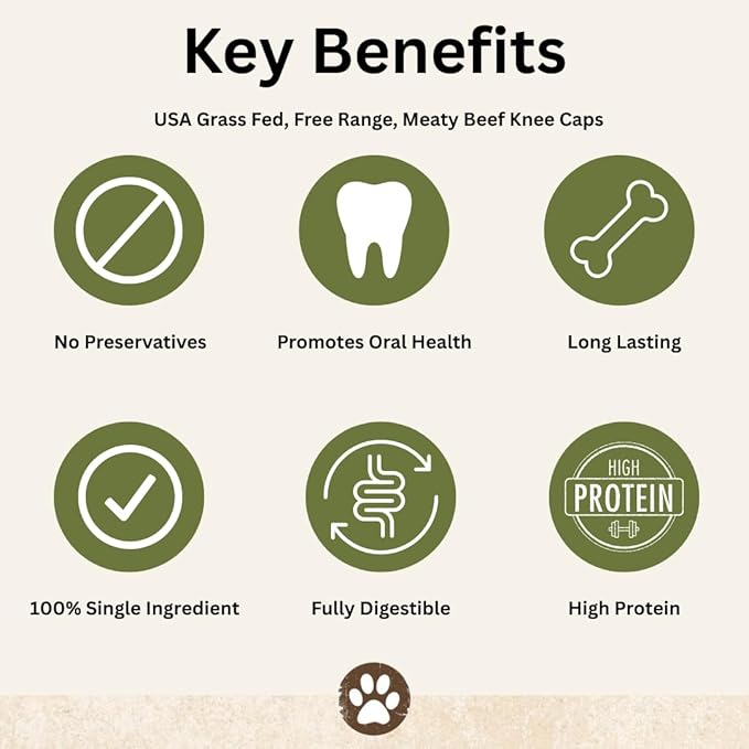 Top Dog Chews – Roasted Knee Caps, 10 Count, Dog Beef Chew Bones, Long Lasting Treats for Aggressive Chewers, Perfect for Large Medium, or Small Dogs, Made in USA