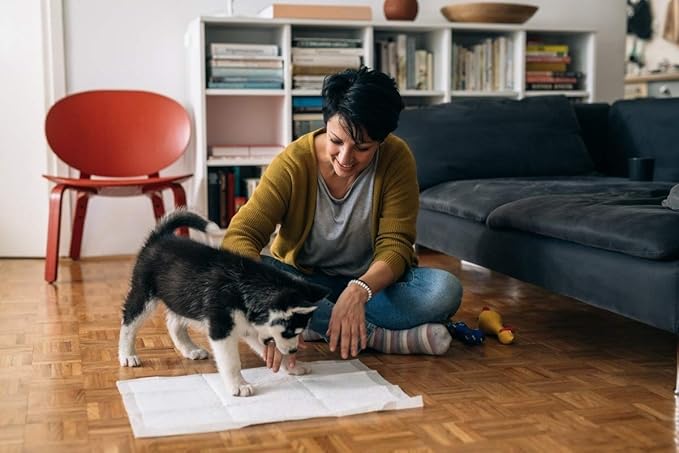 20 Pcs Rabbit Pee Pads, Disposable Super Absorbent Diaper, Pet Toilet/Potty Training Pads for Guinea Pigs, Hedgehog, Hamsters, Chinchillas, Cats, Dogs