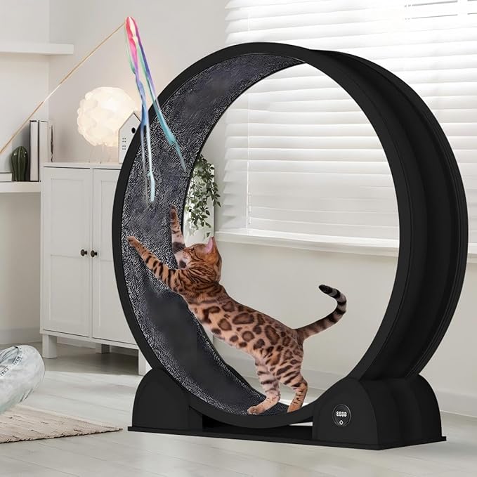 Cat Exercise Wheel for Indoor Cats, 45'' ABS Cat Wheel Exerciser Quiet Cats Treadmill with Pedometer, Small Animal Running Wheels for Weight Loss and Health Black