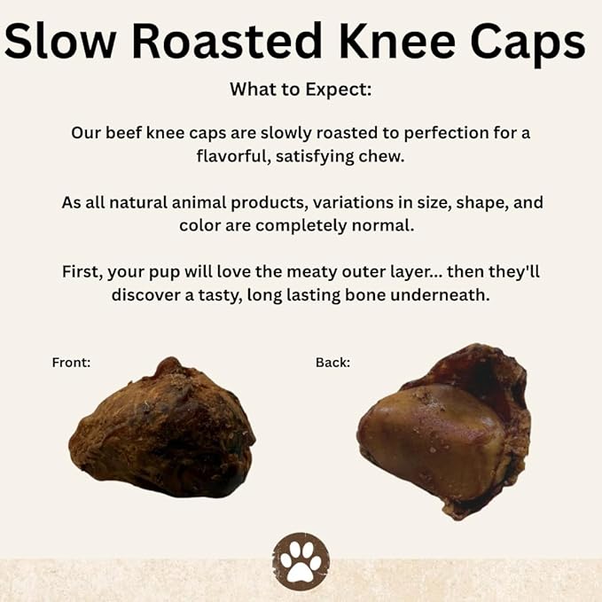 Top Dog Chews – Roasted Knee Caps, 10 Count, Dog Beef Chew Bones, Long Lasting Treats for Aggressive Chewers, Perfect for Large Medium, or Small Dogs, Made in USA
