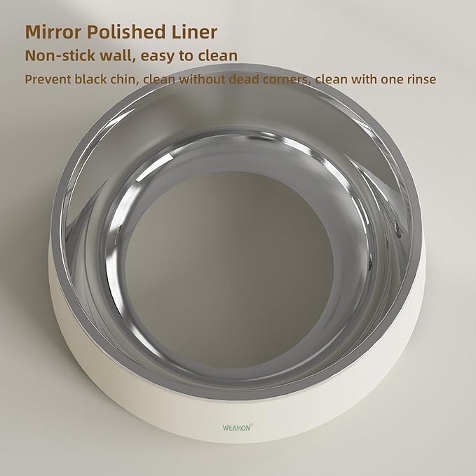 1.3L (44oz) 304 Stainless Steel Pet Bowl, Durable ABS Base with Non-Slip Design and Easy Clean, Chew-Resistant Cat & Dog Food Bowls, Cream White