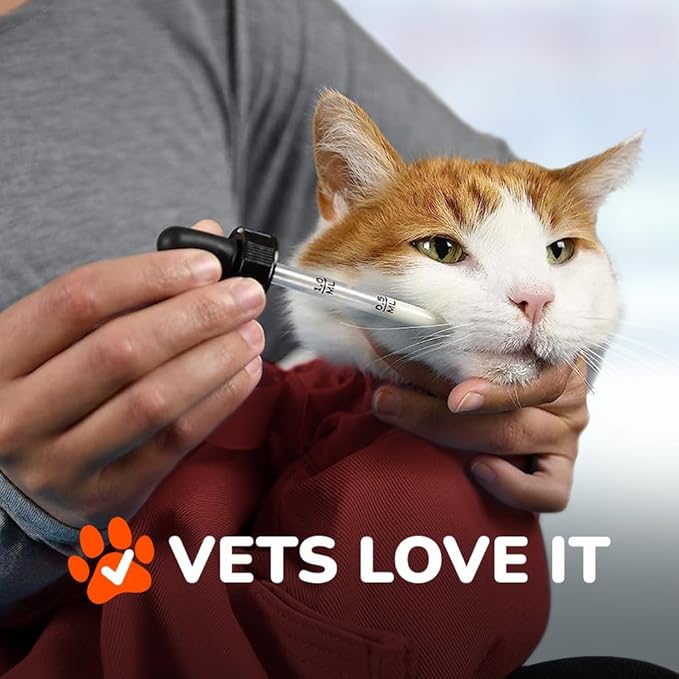 Cat-in-the-Bag Cozy Comfort Carrier - Extra Large Red Cat Carrier Soft and Pet Carrier for Nail Trimming, Vet Visits, Medication Administration, Dental Care, and Travel