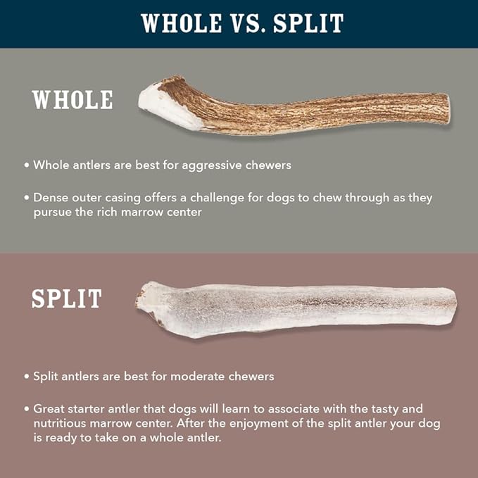 Amazon Brand – Wag Split Elk Antler, Naturally Shed, Small (Best for Dogs under 15 lbs)