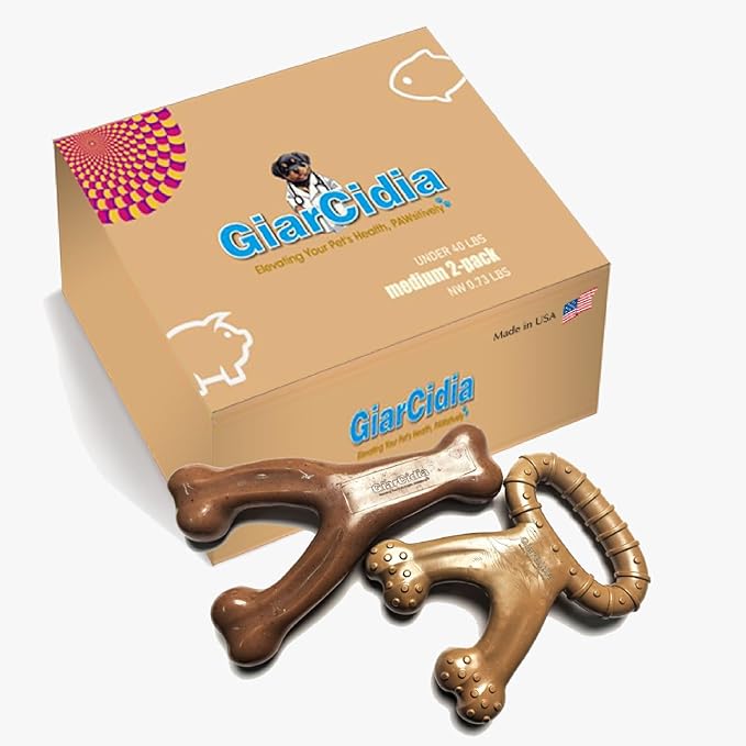 Dog Chew Toys for Aggressive Chewers (2Pcs - Real Beef & Bacon Flavored) - Durable Dog Tough Wish Bone (Upto 60 lbs.) - Indestructible Chew Toys for Dogs for Interactive Play & Dental Benefits