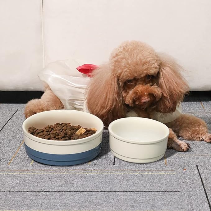 Sweejar Ceramic Dog Bowls, Dog Food Dish for Large Dogs and Cat, Heavy Duty Porcelain Pet Bowl for Canned Food and Water 78 Fl Oz （White）